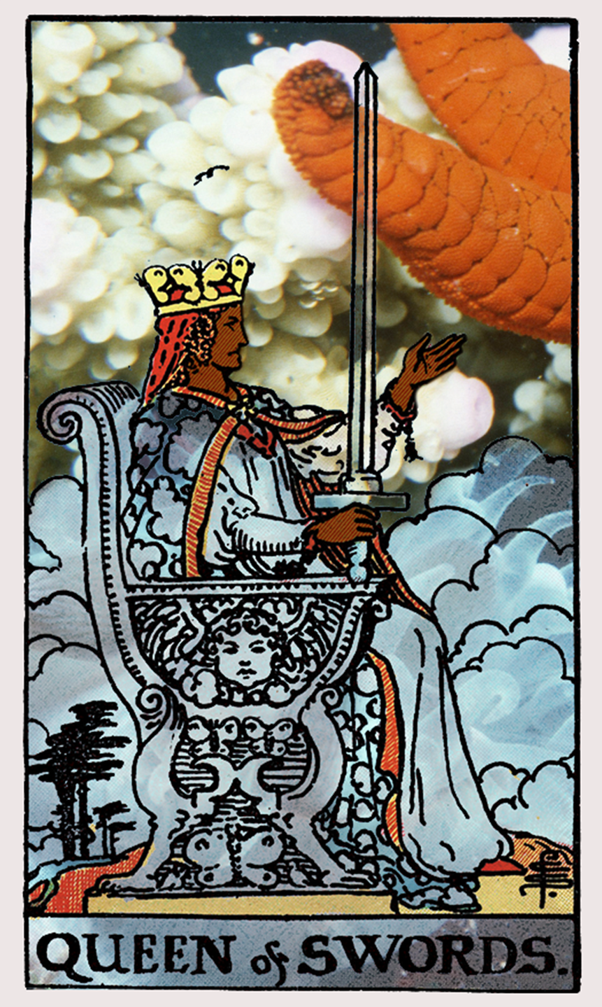 queen of swords tarot card
