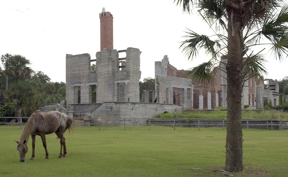FILE - In this Sept. 20, 2008, file photo, a wild horse grazes next to the ruins of the Dungeness mansion in the south end of Cumberland Island in Camden County, Georgia National Seashore. Camden County on the Georgia-Florida line has doggedly pursued plans to build and operate the 13th licensed U.S. commercial rocket launchpad for blasting satellites into orbit. The Federal Aviation Administration expects to decide next month whether to license the proposed Spaceport Camden to operate as a launch site for hire. (AP Photo/Chris Viola, File)