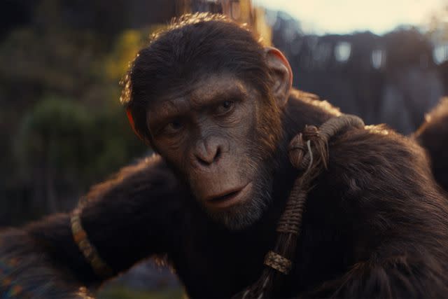 <p>20th Century Studios</p> Noa (played by Owen Teague) in 'Kingdom of the Planet of the Apes'