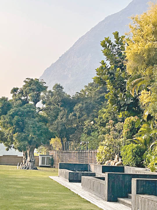 林青霞的「王宮」花園相當寬敞，還可飽覽山頂靚景。