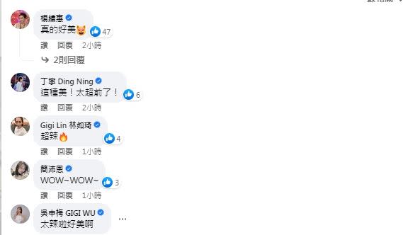陳美鳳20歲比基尼辣照上傳不久，吸引許多「藍勾勾」藝人前來朝聖。（圖／翻攝自陳美鳳臉書）