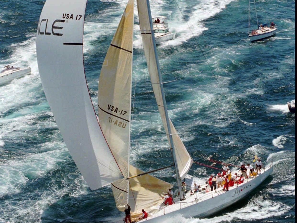 larry ellison yacht race