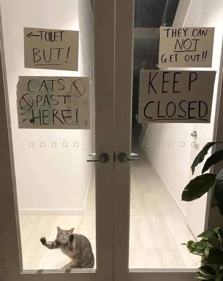 Handwritten signs on glass doors say 'TOILET BUT! CATS PAST HERE!' and 'THEY CAN NOT GET OUT!! KEEP CLOSED' with a cat sitting inside