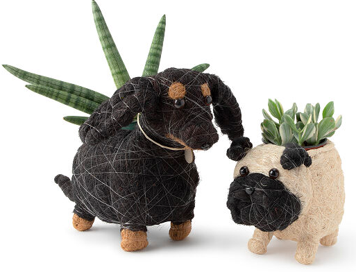 Coconut fibre dog planter, from S$82.96. PHOTO: Uncommon Goods