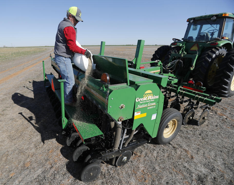 Tim Black loads grass seed into a drill on his tractor before sowing the seed on his Muleshoe, Texas, farm on Monday, April 19, 2021. The longtime corn farmer now raises cattle and plants some of his pasture in wheat and native grasses because the Ogallala Aquifer, needed to irrigate crops, is drying up. (AP Photo/Mark Rogers)