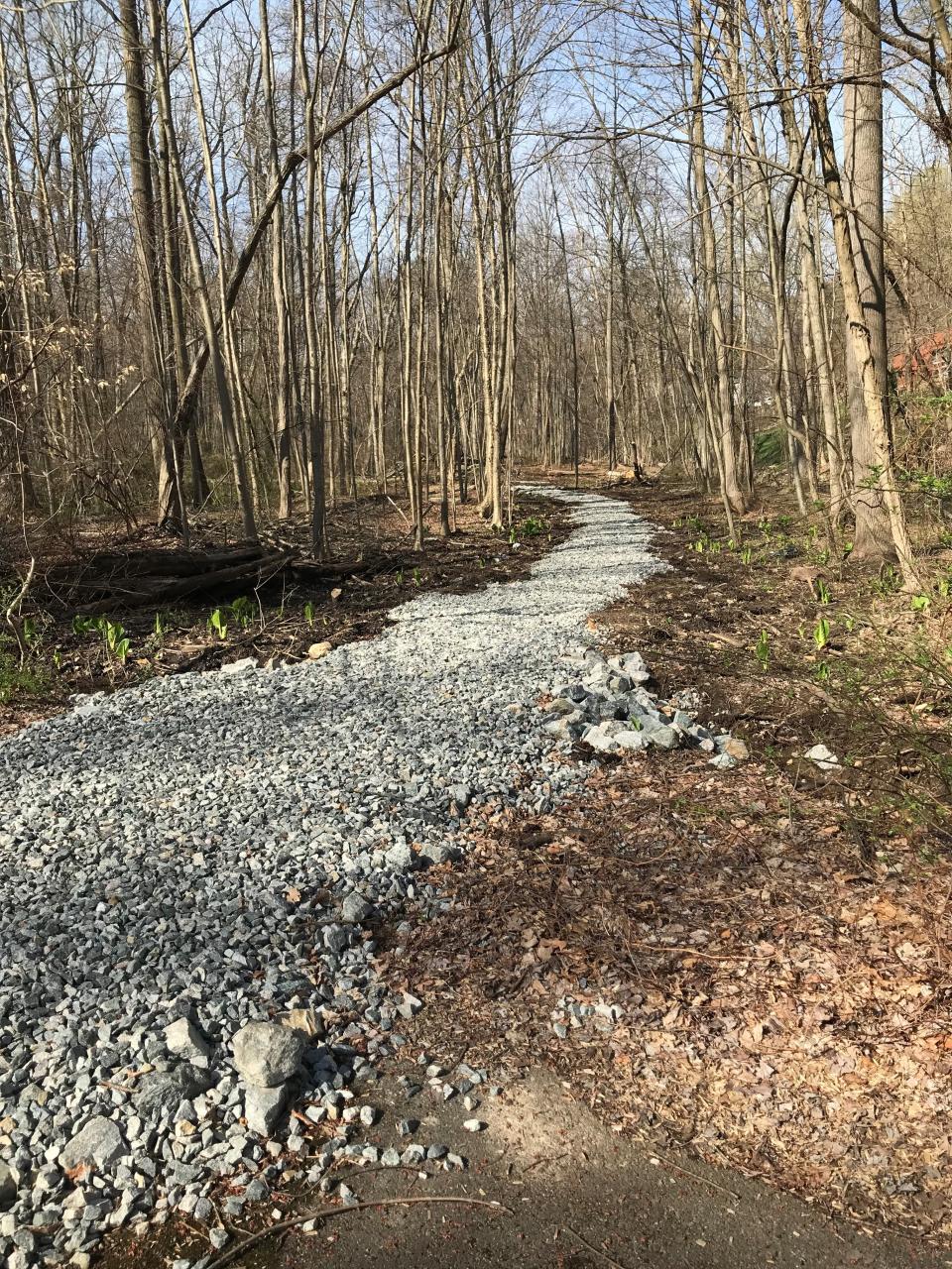 Den Brook trail in Denville.