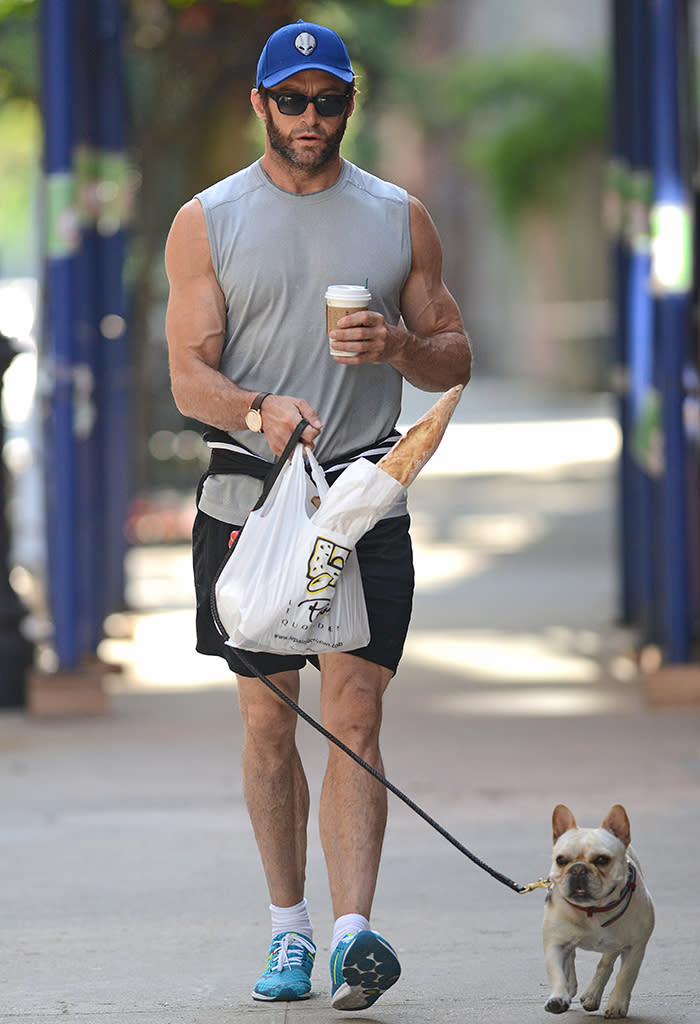 Hugh Jackman walk his pet dog, Dali,  in the West Village, New York City