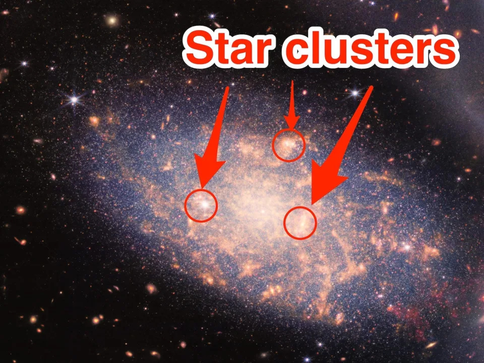 An annotated version of one of the galaxies taken by the James Webb telescope shows the Stephan's Quarter.