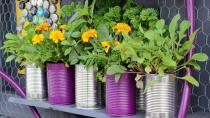 <p> If you&apos;re looking for ways to save money in the garden, you&apos;re not alone. Though we all love to fill our backyards with new plants, flowers, and other backyard paraphernalia, the costs can start to add up.&#xA0; </p> <p> One of the easiest&#xA0;cheap garden ideas&#xA0;is actually quite simple: don&apos;t buy things when you don&apos;t need them! But there&apos;s actually some more eco-friendly and sustainable approaches to saving costs, all of which we&apos;ve explained here.&#xA0; </p> <p> Whether you&apos;re reusing household items in a new way, or engaging with your local community to swap and source garden supplies, thinking outside the box is the best way to approach saving money in the garden. &#xA0; </p> <p> With the increasing cost of living, searching for quick, simple and effective ways to reduce your monthly outgoings can have a big impact on your bank balance. Not only are these 12 solutions great for saving money in the garden, but many will help you to reduce your eco footprint too. It&apos;s a win-win!&#xA0;&#xA0; </p> <p> <em>By Flora Baker. Contributions from Sophie Warren-Smith&#xA0;</em> </p>