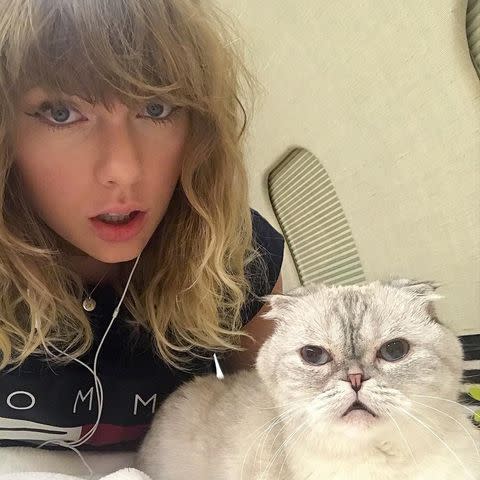 <p>Taylor Swift/Instagram</p>