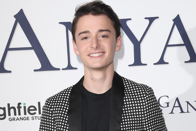 Stuart C. Wilson/Getty Noah Schnapp