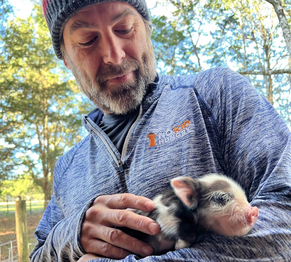 Buccan Palm Beach chef Clay Conley holds a piglet on his farm near Gainesville, Florida.