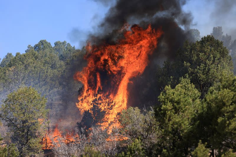 Wildfires near Las Vegas, New Mexico