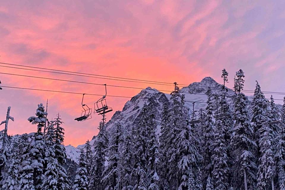 <p>Courtesy of Mt. Baker Ski Area </p>