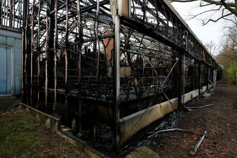 A burned monkey house is pictured in the zoo of Krefeld