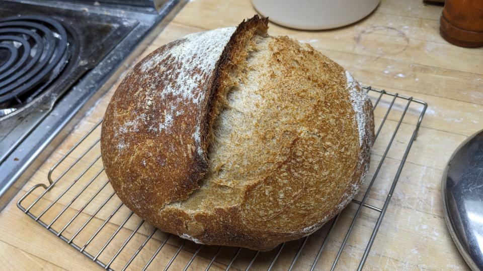 a collection of sourdough starter keepers