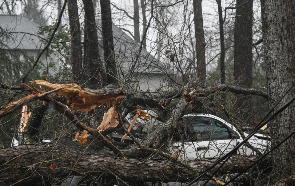 A fallen tree in the 400 block of Westbury Road in the Cotswold neighborhood blocks the road and causes damage to vehicles in the driveway as a result of a severe weather system over Charlotte on Tuesday, January 9, 2024.