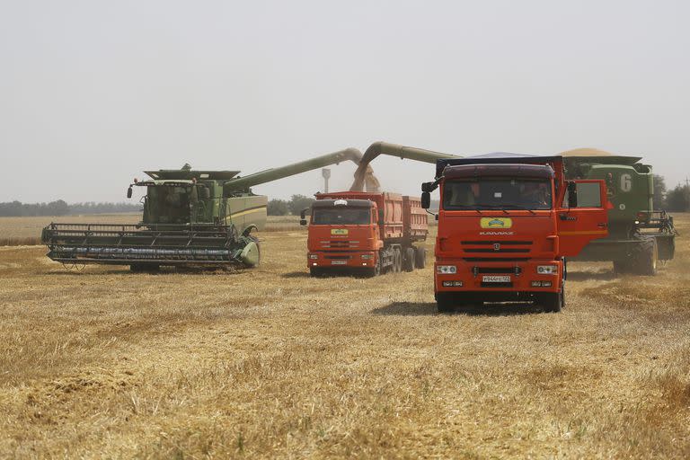 Ucrania y Rusia son responsables de un tercio de las exportaciones mundiales de trigo y cebada
