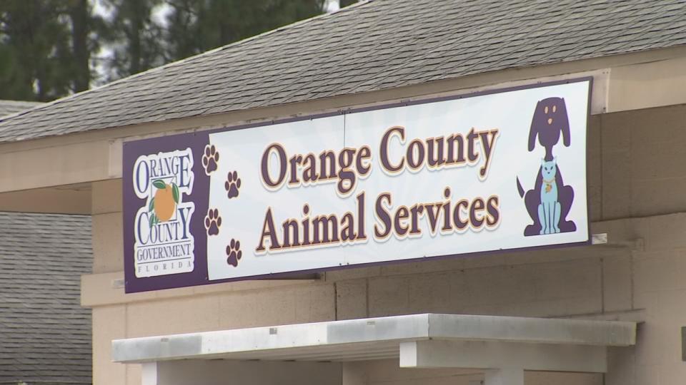 The shelter is currently caring for more than 500 animals.