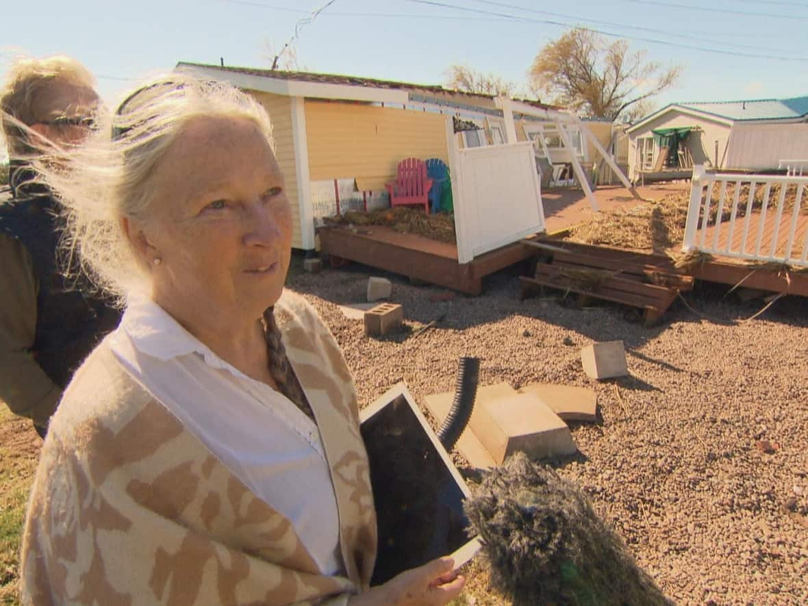 Cathy Scott's cottage is now on the road.  (Mark Crosby/CBC - image credit)