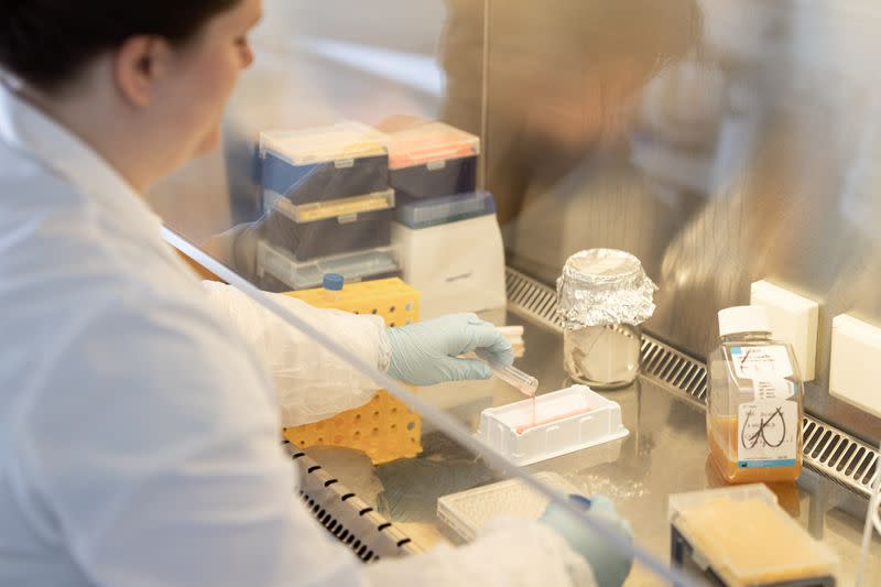 A scientist is seen in the Themis Bioscience laboratory in Vienna