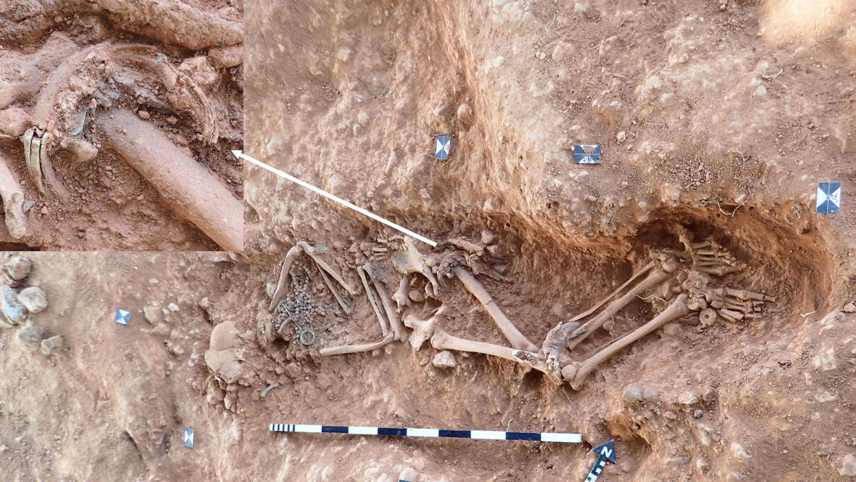  We see the skeletal remains of a woman in a dirt grave. A magnified image box shows an ivory ring around her thigh. 