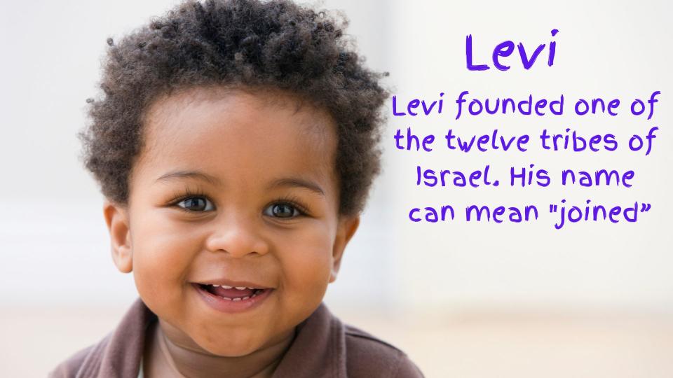 Levi baby name