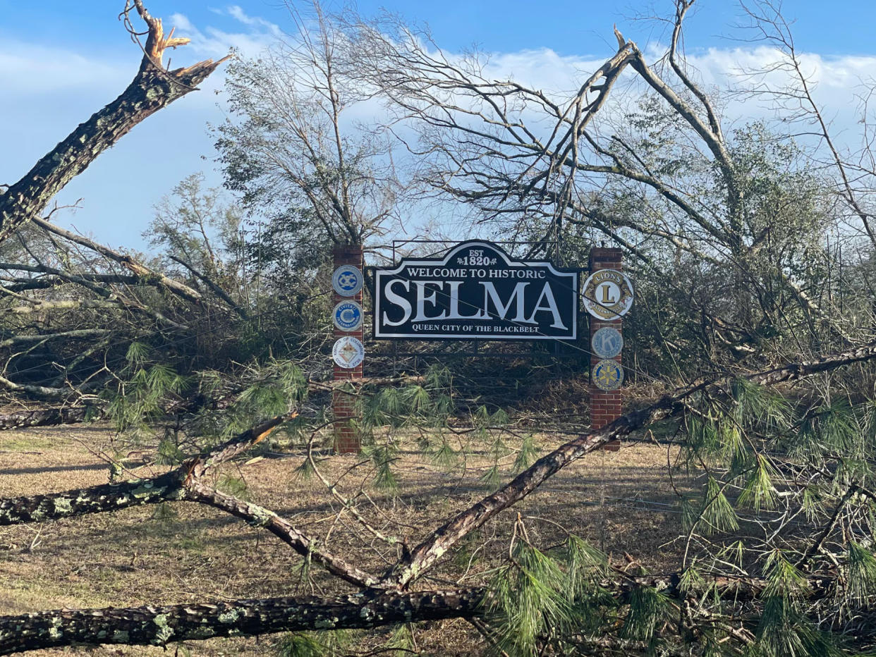 Fallen trees are seen in the aftermath of severe weather, Thursday, Jan. 12, 2023, in Selma, Ala. A large tornado damaged homes and uprooted trees in Alabama on Thursday as a powerful storm system pushed through the South. (AP Photo/Butch Dill)