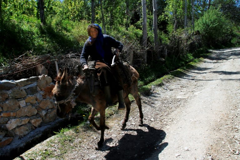 An elderly woman rides her donkey in the village of Trebisht, some 160 km south-east of Tirana, on April 26, 2017. Trebisht in northeastern Albania looks like a ghost village, emptied of its residents by a rush to get Bulgarian passports