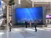 Gigantic LED screens depicting underwater springs and skylight views of blue skies are seen in the new terminal at Orlando International Airport, Tuesday, Sept. 6, 2022 in Orlando, Fla. The addition of Terminal C gives the airport the ability to handle an additional 12 million passengers at the terminal's 15 new gates. (AP Photo/Mike Schneider)