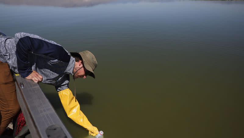 Cody Ellsworth, water quality technician for the Utah Division of Water Quality, collects a sample from Utah Lake on Thursday, July 13, 2023. Provo Bay at Utah Lake is under health advisories due to the outbreak of harmful algal blooms, or cyanobacteria, which can cause respiratory problems, skin irritation and in some cases it can be fatal for dogs.