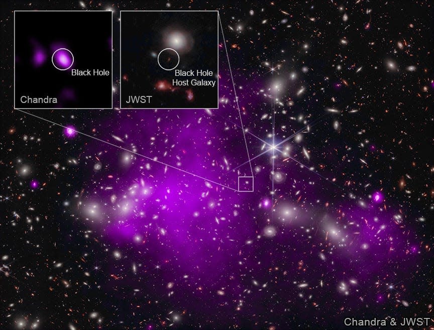 Using X-ray images from the Chandra (in purple) and infrared data from the Webb (in red, green and blue), astronomers identified the most distant black hole ever detected. The composite image explain how some of the first supermassive black holes in the universe formed.