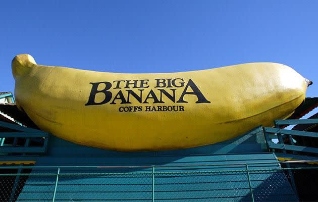 After a few hours at the Big Banana, disaster struck. Photo: Getty