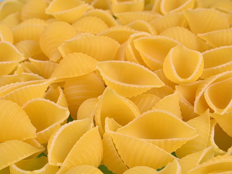 Conchiglie shells