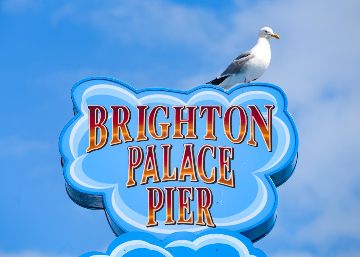 The Brighton Palace Pier, commonly known as Brighton Pier or the Palace Pier[a] is a Grade II* listed pleasure pier in Brighton, England, located in the city centre opposite the Old Steine.