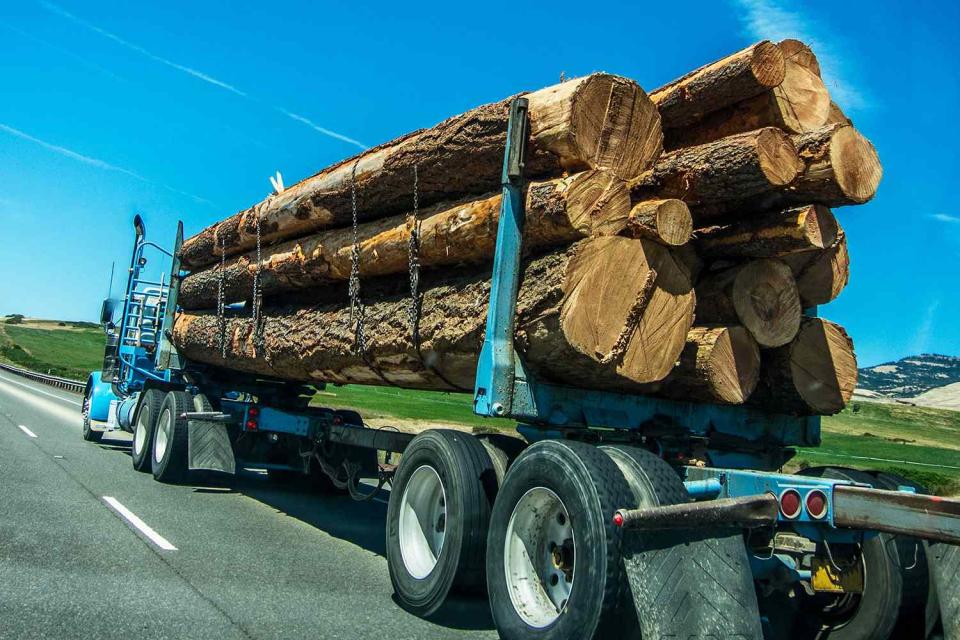 <p>Thomas Winz/Getty</p> Lumber Truck