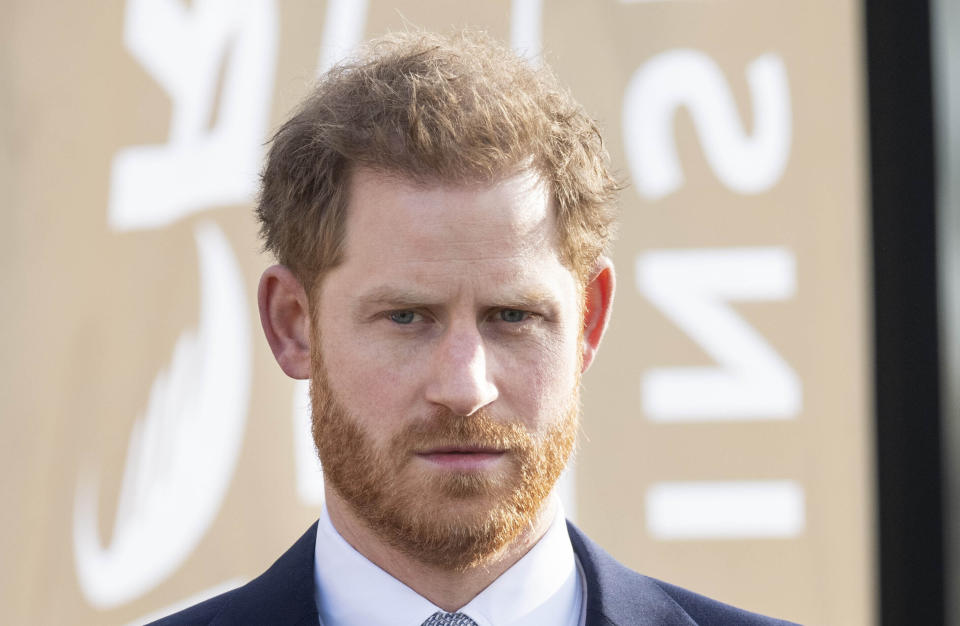 Prince Harry The Duke of Sussex 