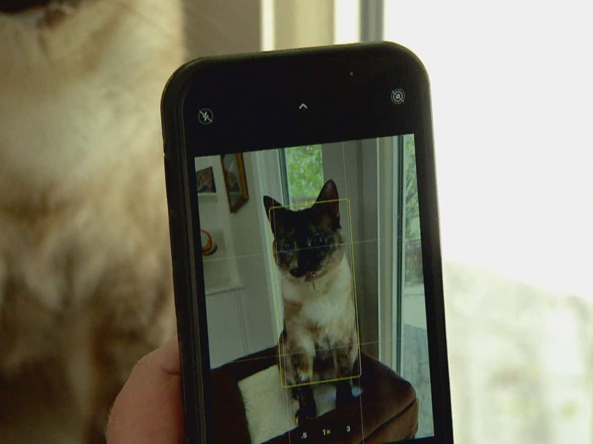 Need some clicks on your socials? Phaedra can help. (James Young/CBC - image credit)