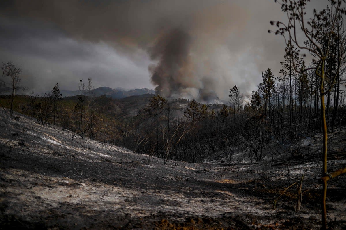 Columns of smoke rise from wildfire in Odeceixe, south of Portugal (AFP via Getty Images)