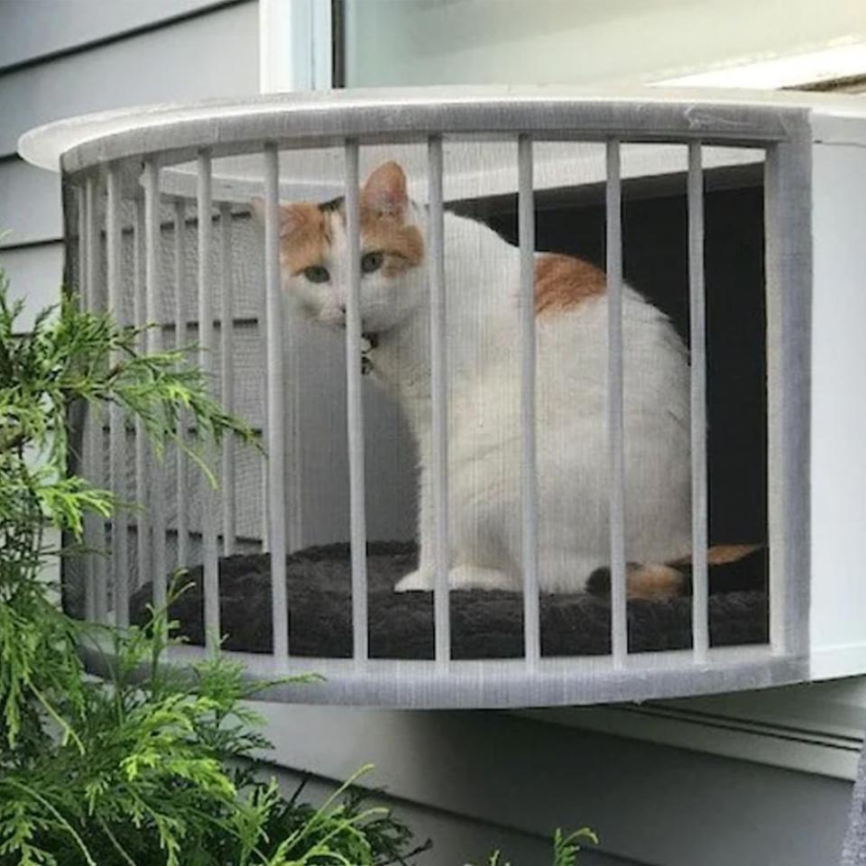 53) Outdoor Cat Window Box