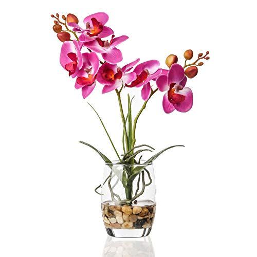 Orchid in Glass Vase