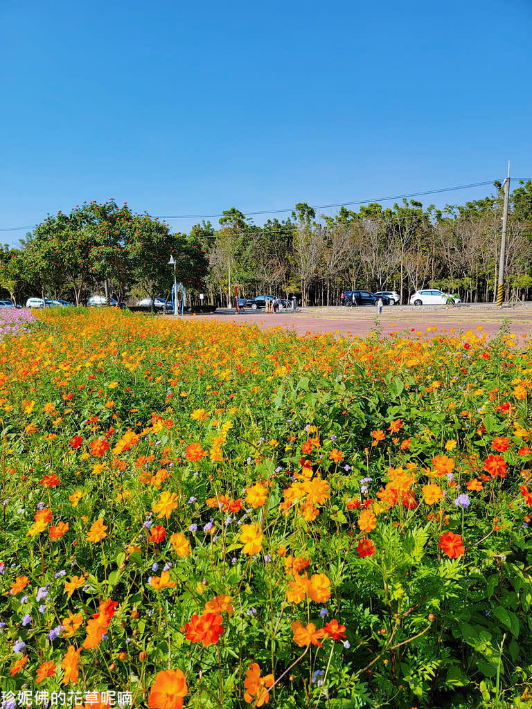 屏東｜新埤鄉綜合休閒公園