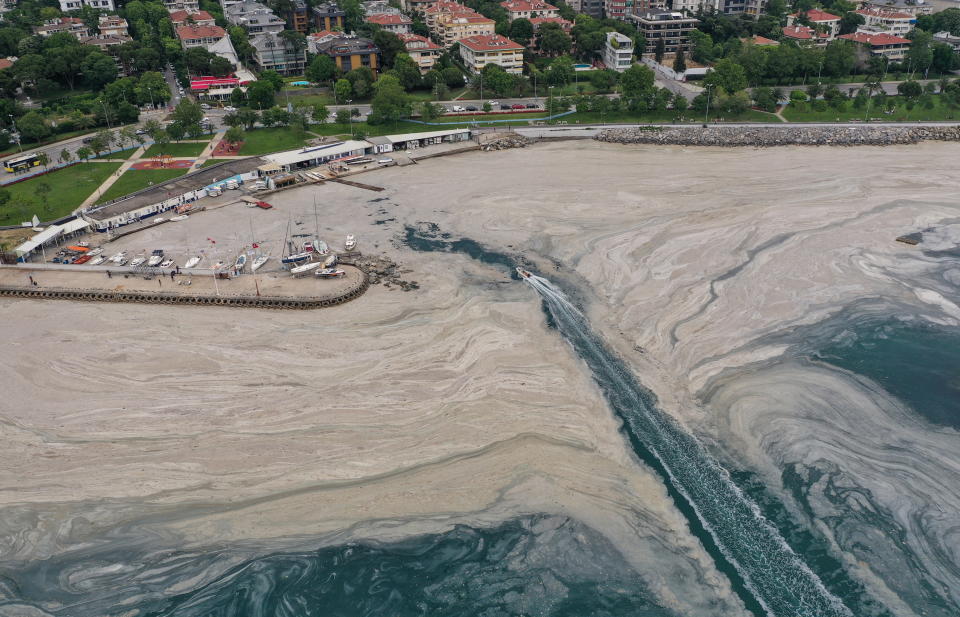 Drone footage shows 'sea snot', a thick slimy layer of the organic matter, also known as marine mucilage, spreading through the Sea of Marmara and posing a threat to marine life and the fishing industry, on the shores of Istanbul, Turkey June 7, 2021.  REUTERS/Umit Bektas