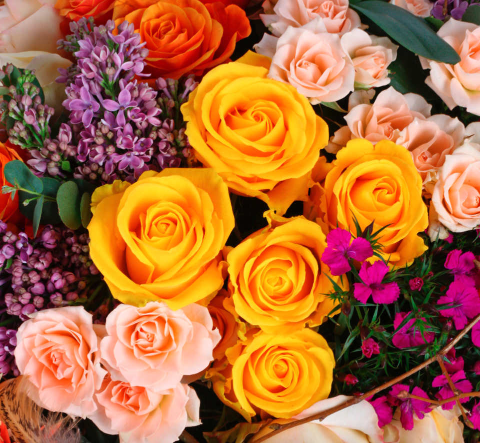 An array of roses (Photo: Getty Images) 