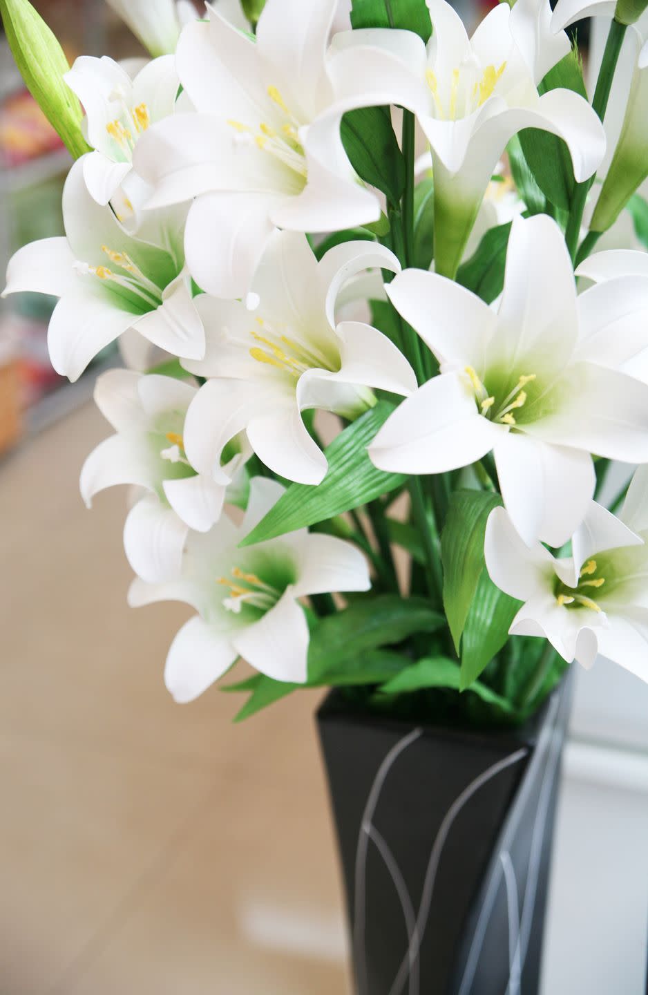 Displaying lilies around the house.