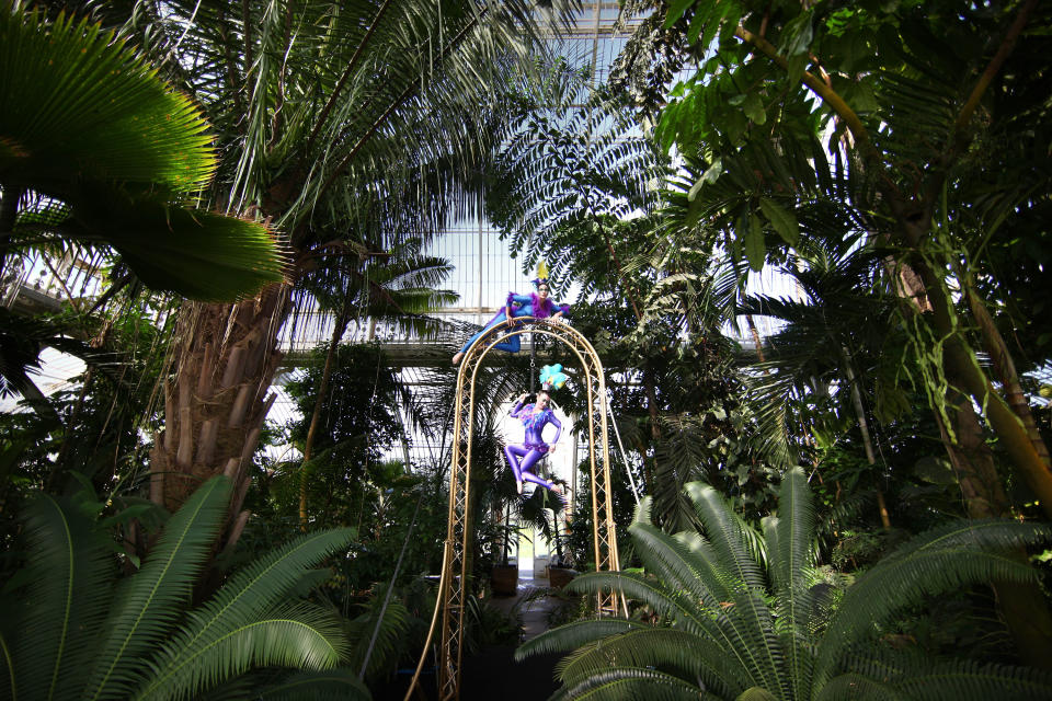 KEW, ENGLAND - MAY 10:  Aerialists perform in the Palm House at the Royal Botanical Gardens on May 10, 2011 in Kew, England. (Photo by Peter Macdiarmid/Getty Images)