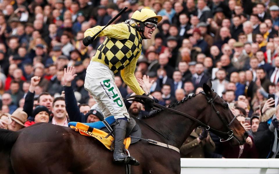 Cheltenham Festival 2020 full schedule, race times and best jockeys and trainers - Reuters