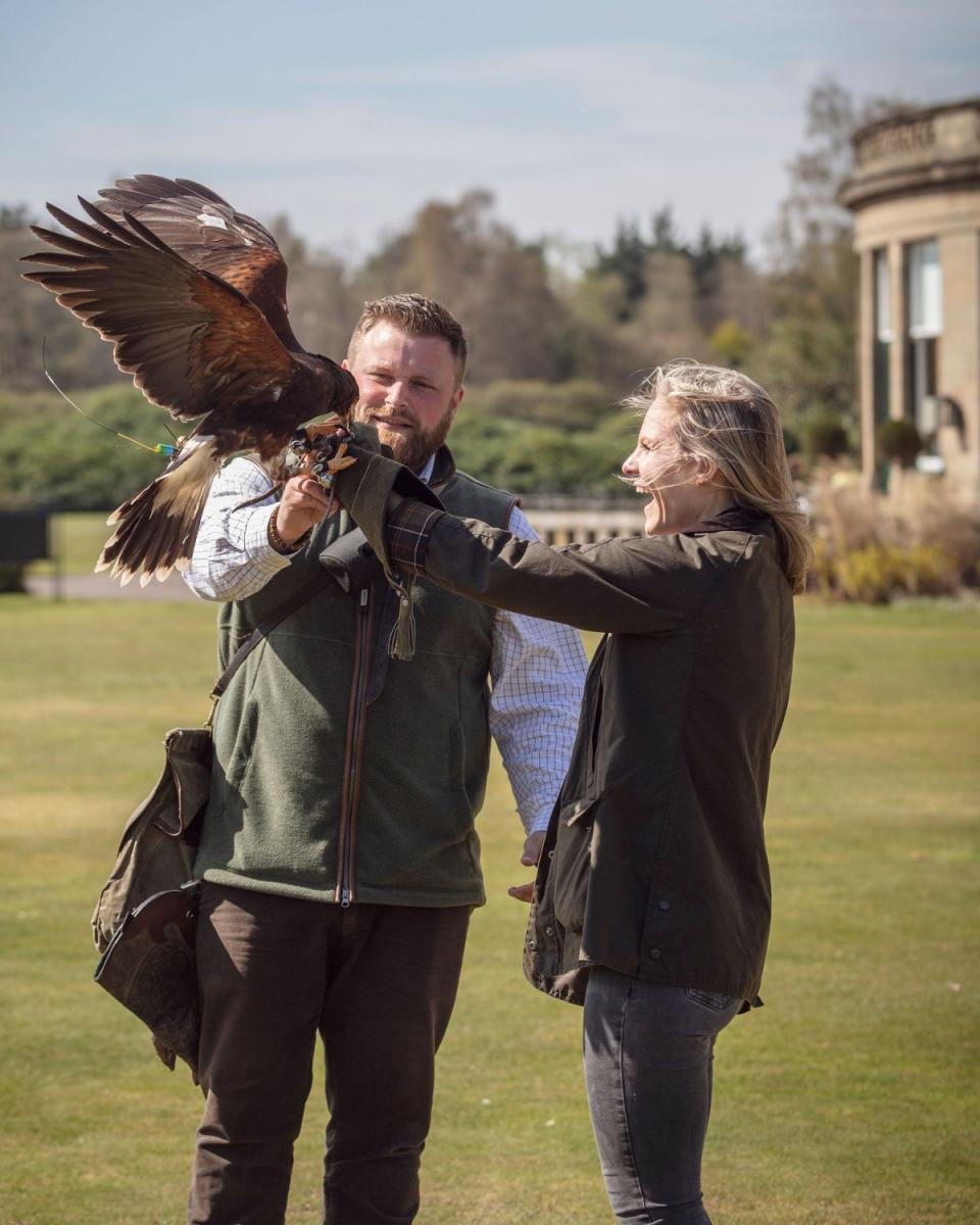 Flying high: falconry is one of the many pursuits offered by the hotel (Press handout)