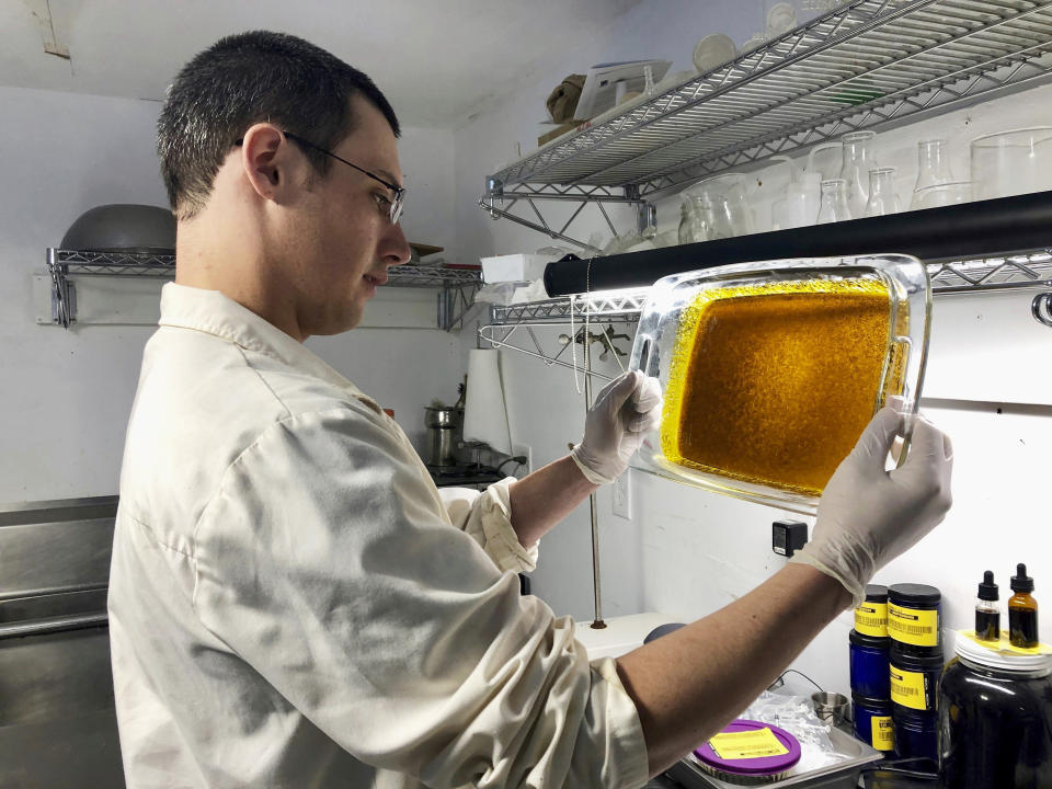 ADVANCE FOR PUBLICATION ON TUESDAY, JUNE 11, AND THEREAFTER - In this April 12, 2019, photo, Erich Berkovitz, owner of a medical marijuana processing company called PharmaEx LLC, holds a glass tray coated with hash oil, also called live resin, after extracting the material from raw marijuana plants and processing it at his lab in Rickreall, Ore. Berkovitz runs the last medical marijuana processing company in Oregon. The number of processors for medical marijuana products has fallen from 100 to one since the state legalized the use of cannabis for all adults. (AP Photo/Gillian Flaccus)