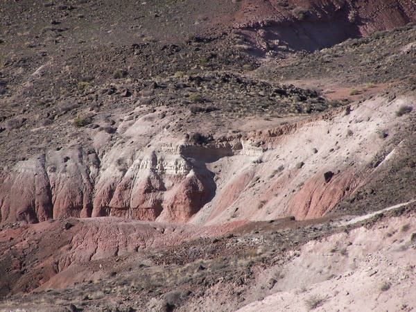 The Bidahochi Formation sits atop a great unconformity, a missing period of geologic time, with the 8-million-year-old lake beds blanketing the 225-million-year-old pink mudstone that forms the Chinle Formation.